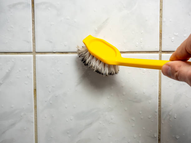  Worland, WY Mold Removal Pros