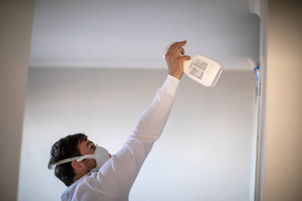 Best Local Mold Removal Service  in Worland, WY