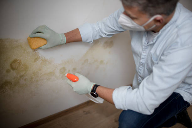 Water Damage Restoration in Worland, WY